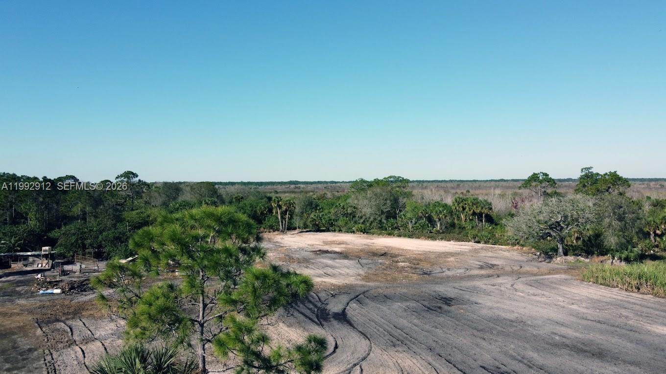 Pioneer Plantation - Land