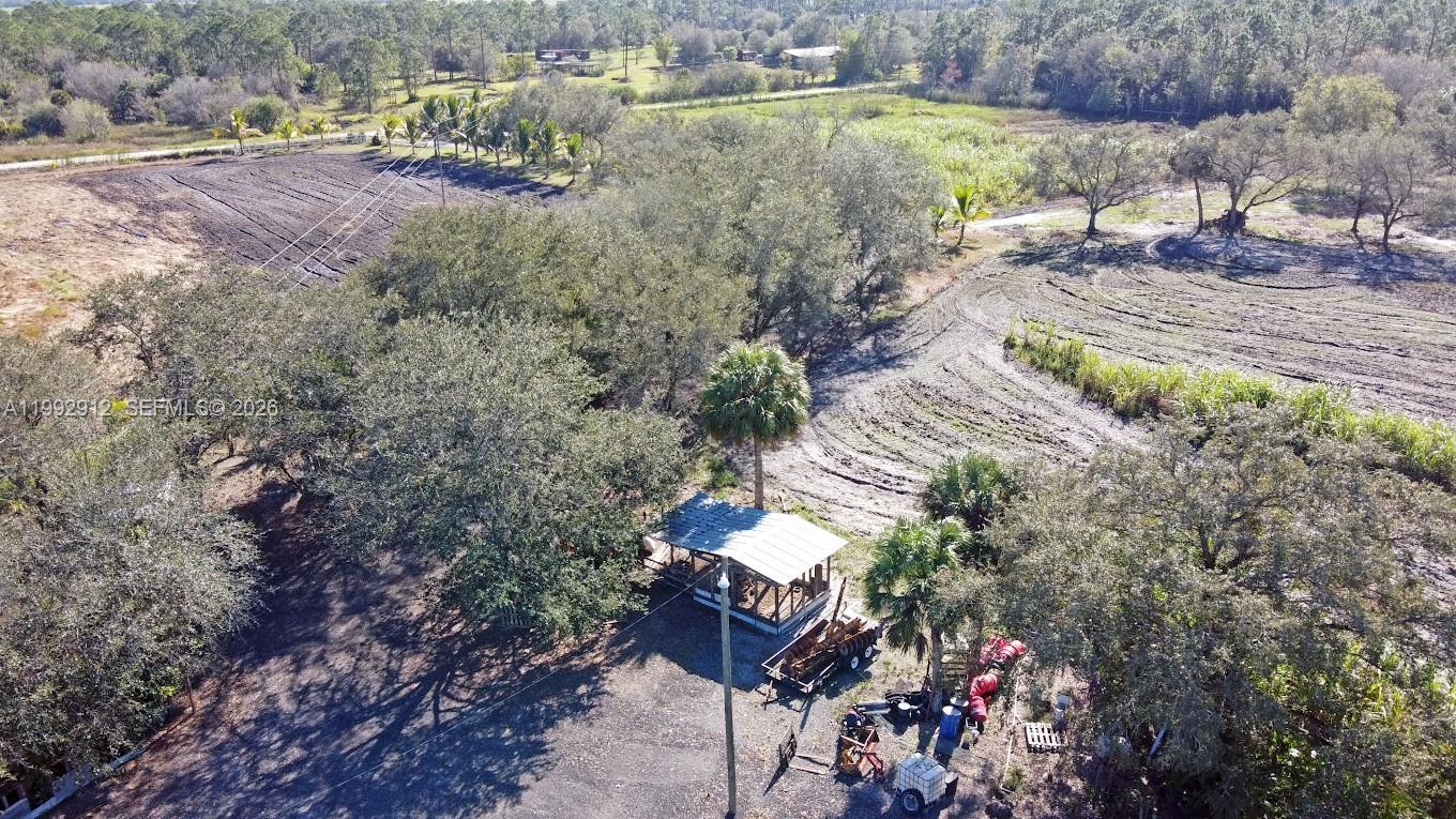 Pioneer Plantation - Land