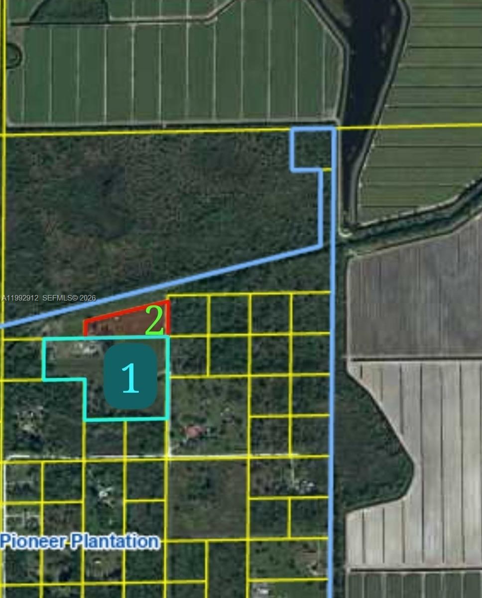 Pioneer Plantation - Land