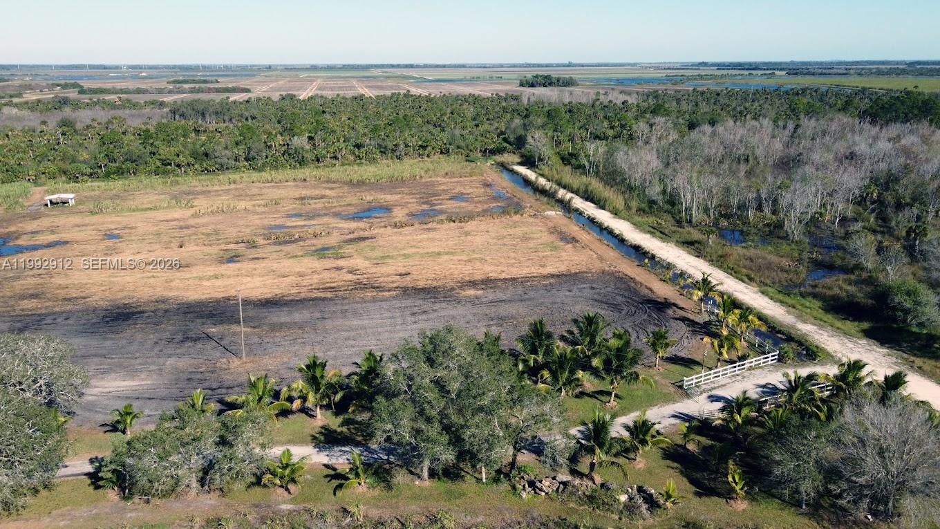Pioneer Plantation - Land