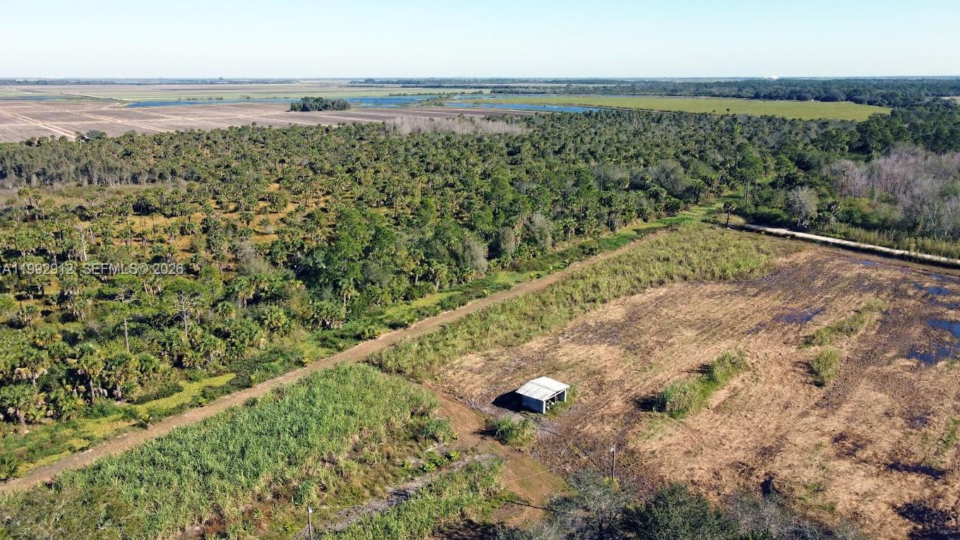Pioneer Plantation - Land