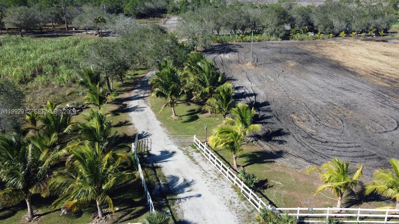 Pioneer Plantation - Land