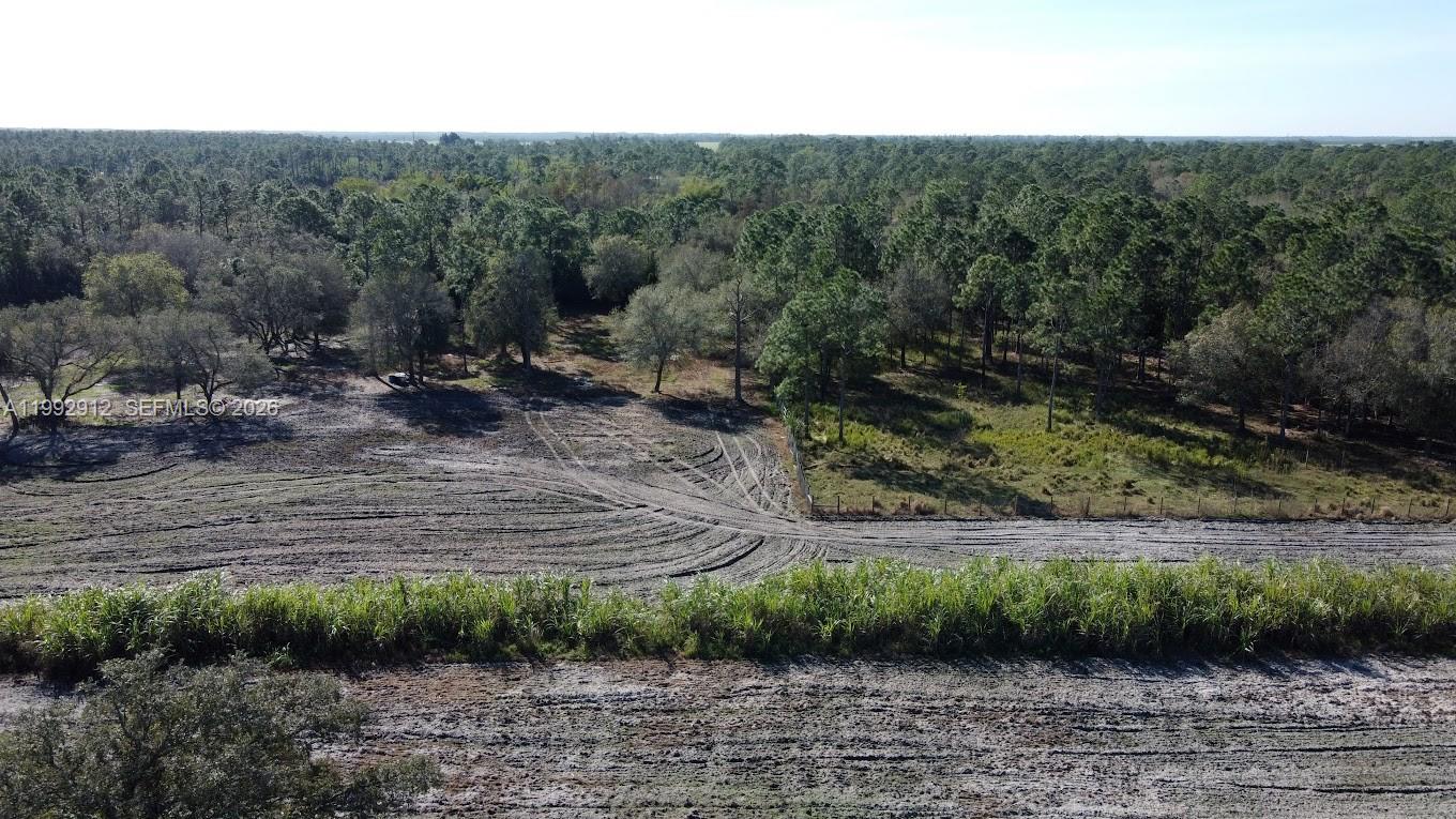 Pioneer Plantation - Land