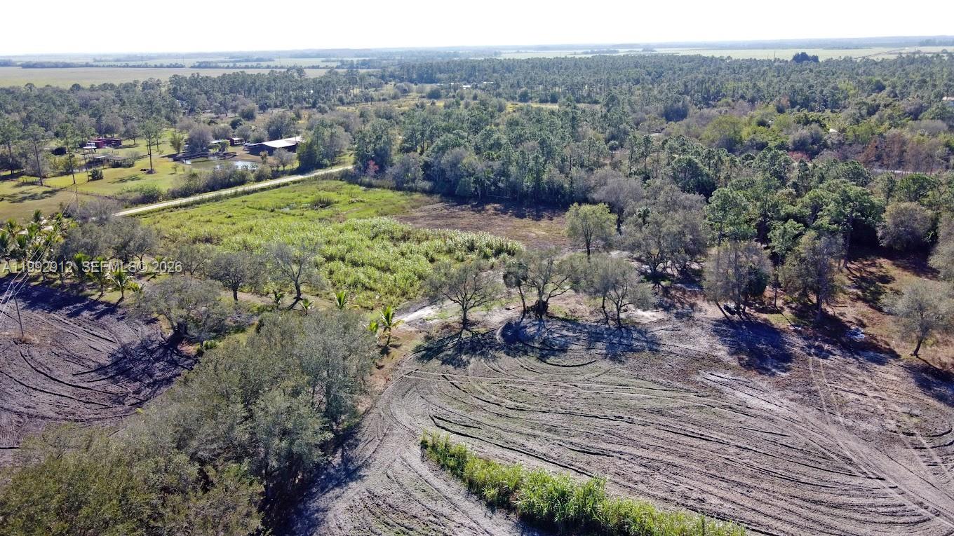 Pioneer Plantation - Land