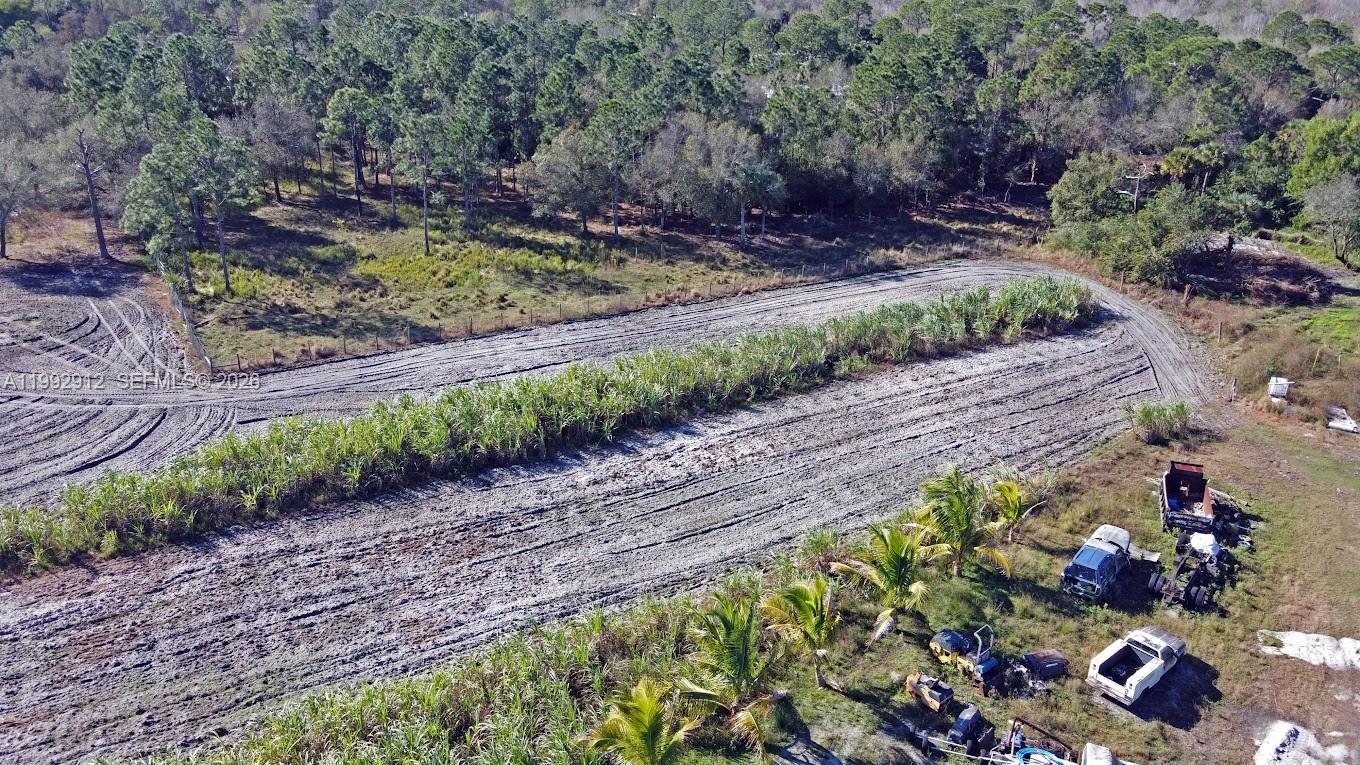 Pioneer Plantation - Land