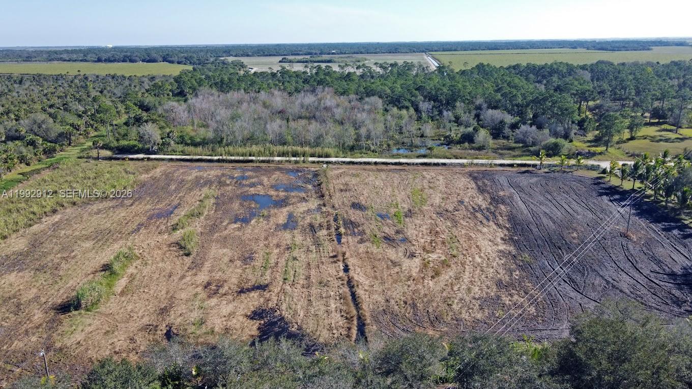 Pioneer Plantation - Land