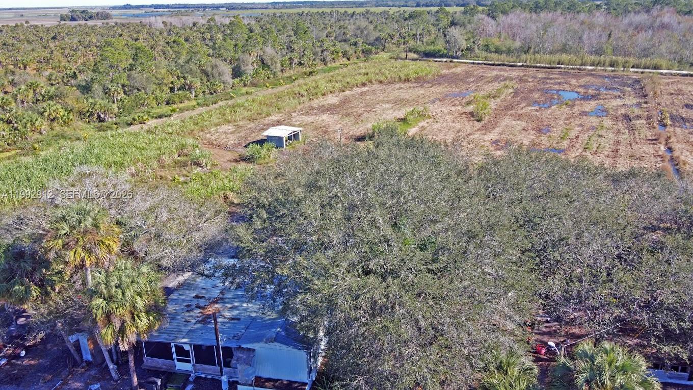 Pioneer Plantation - Land