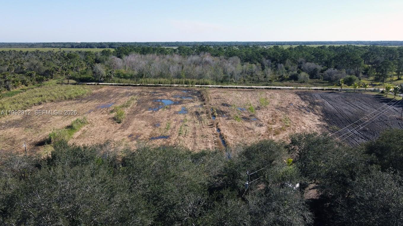 Pioneer Plantation - Land