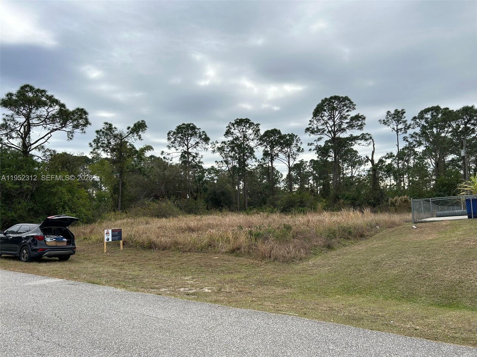 Lehigh Acres - Land