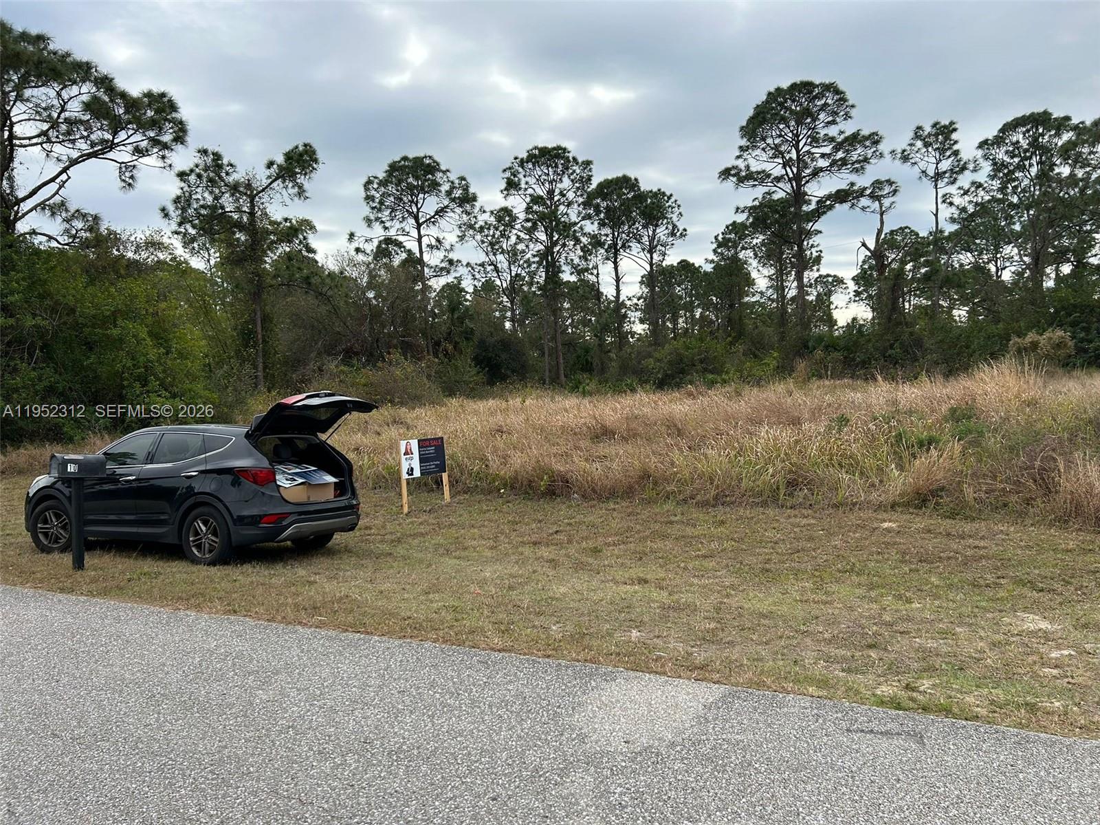 Lehigh Acres - Land