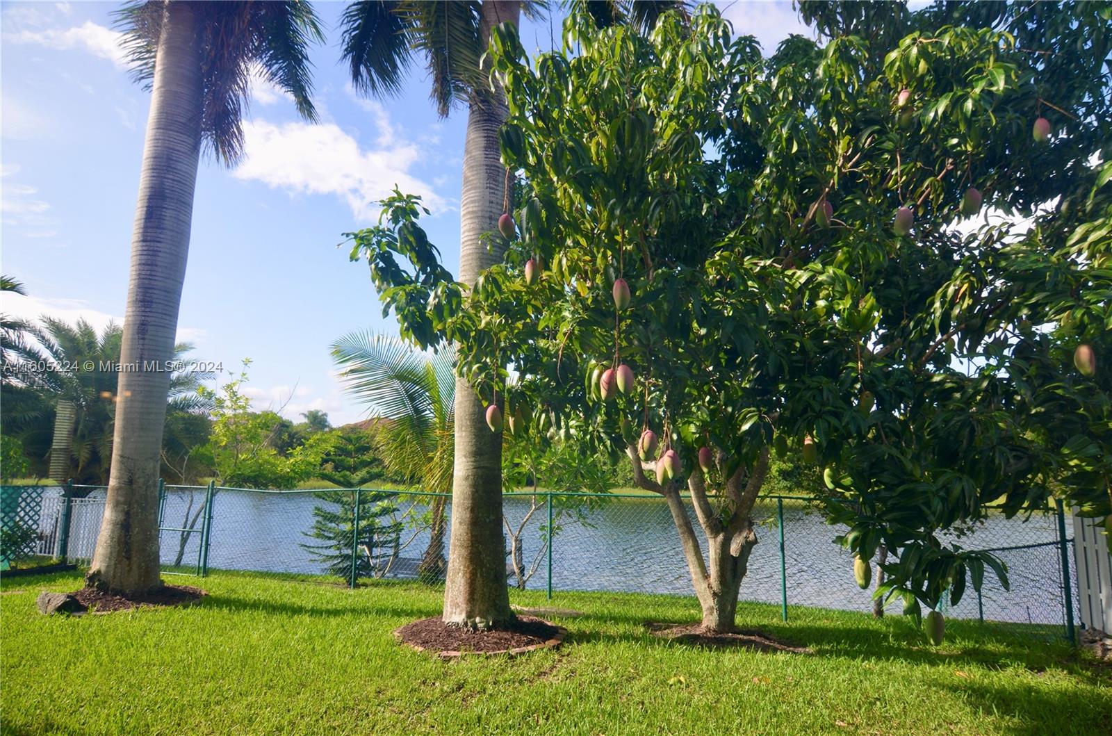 NAUTICA PLAT - Residential