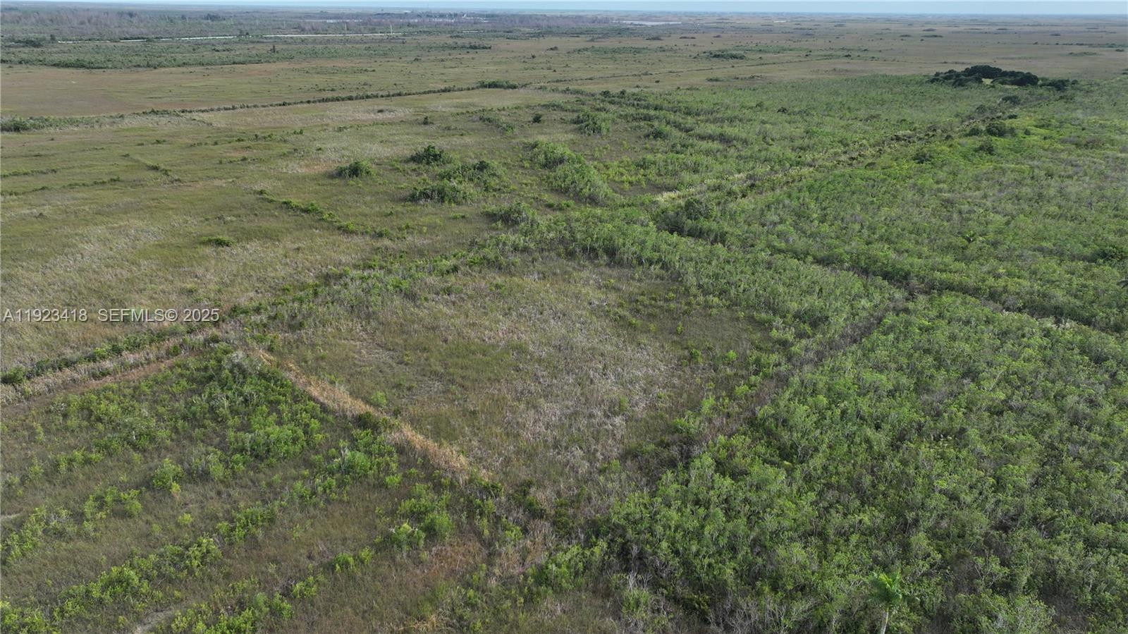 Homestead - Land
