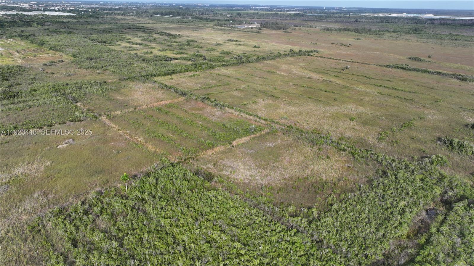 Homestead - Land