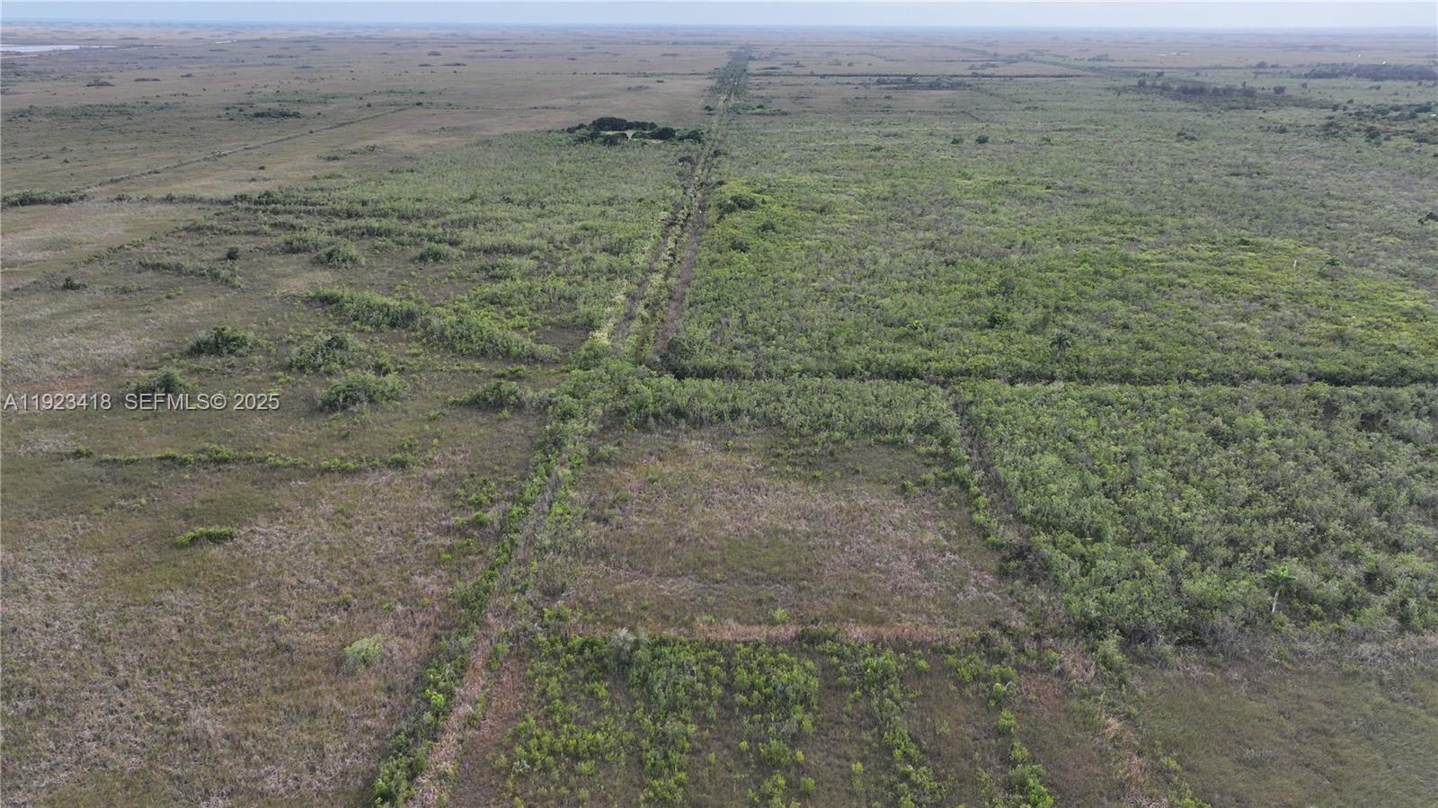 Homestead - Land