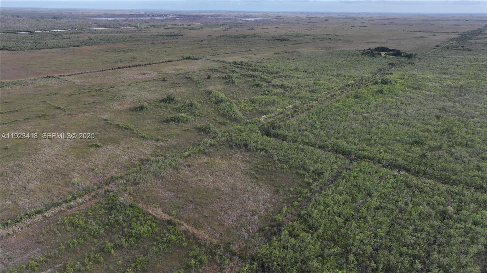 Homestead - Land