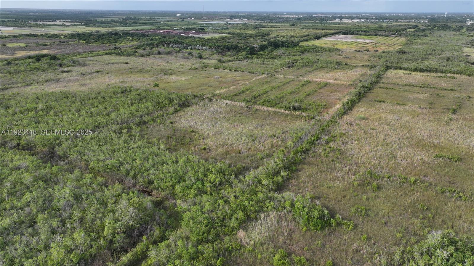Homestead - Land