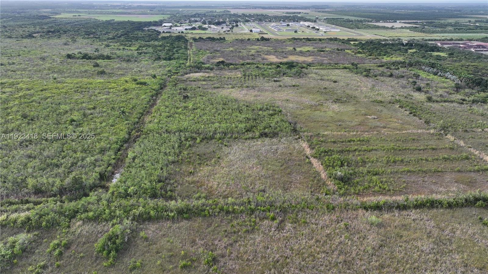 Homestead - Land