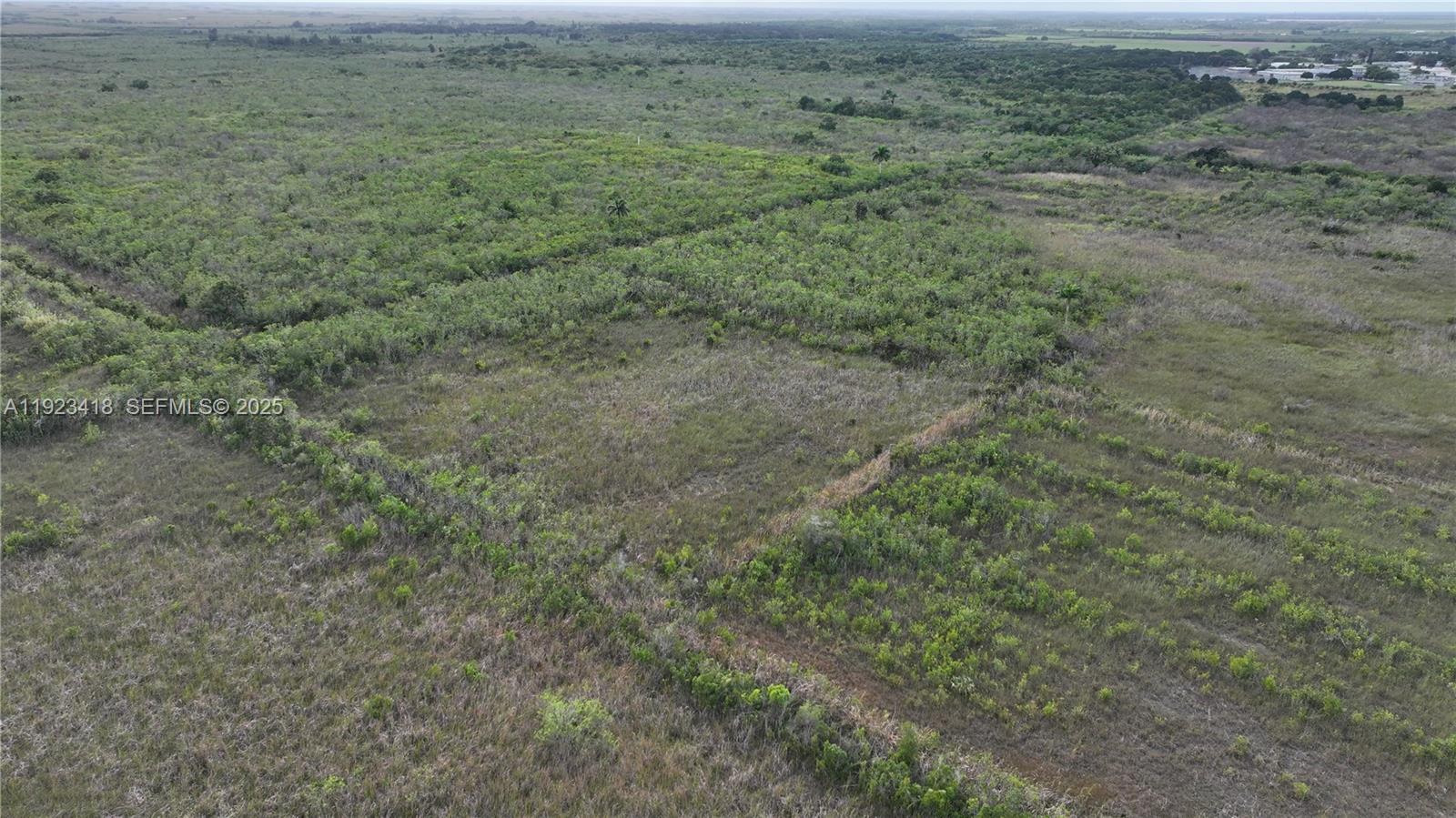 Homestead - Land