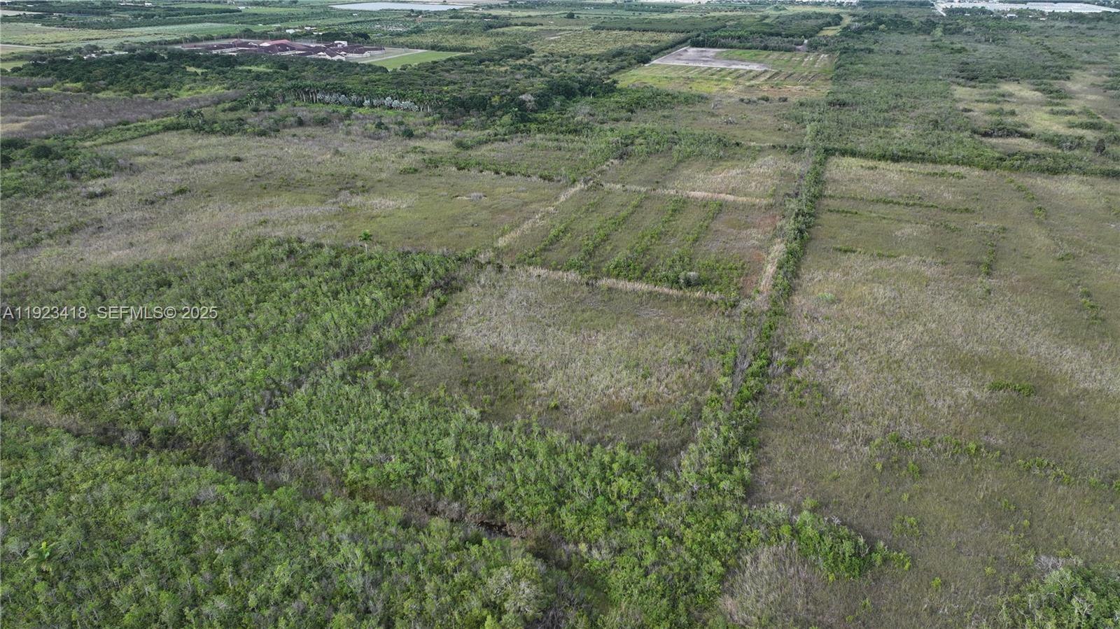 Homestead - Land