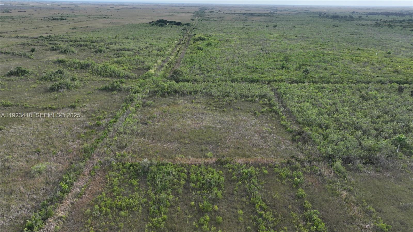 Homestead - Land