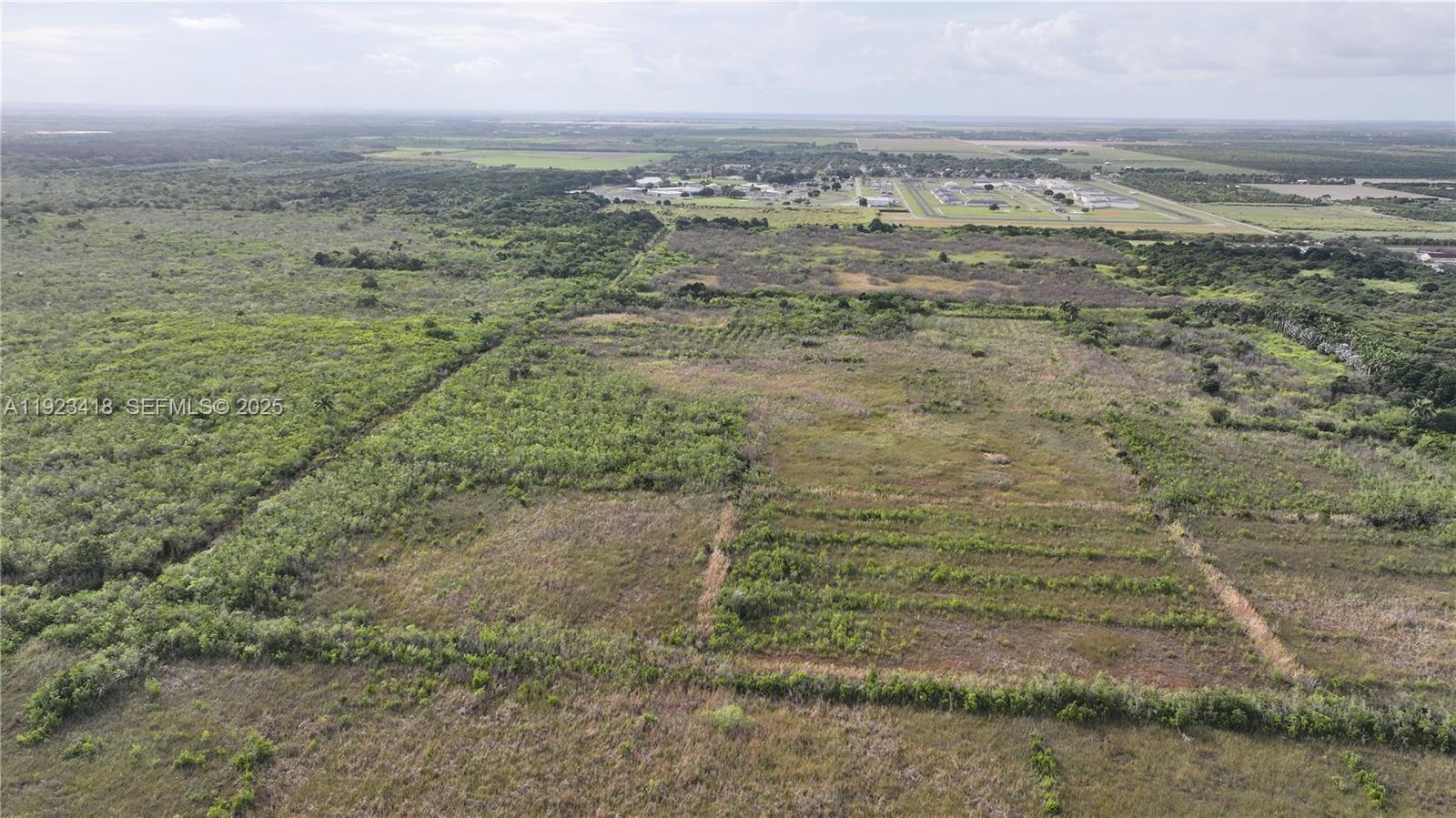 Homestead - Land