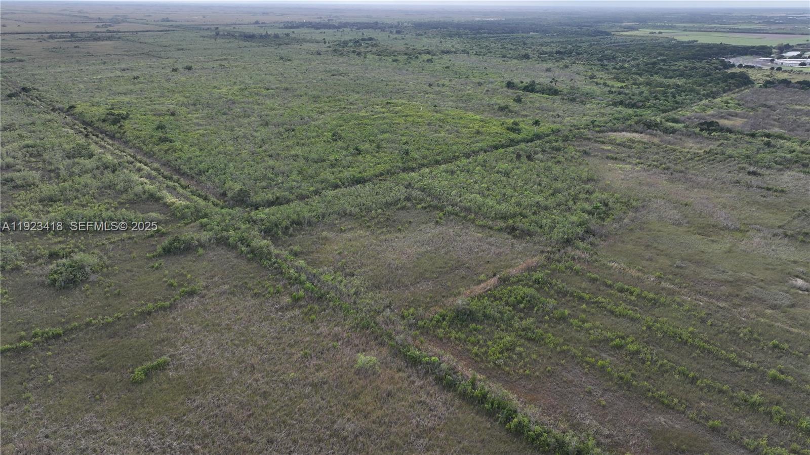 Homestead - Land