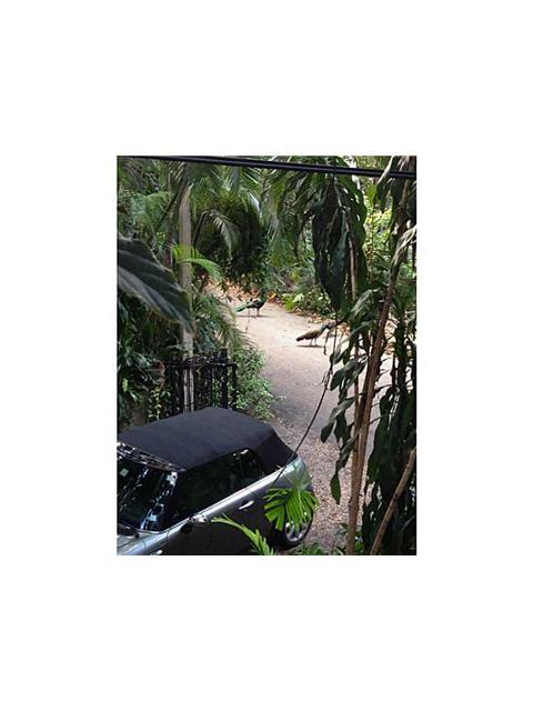 SOLANA PARK - Residential