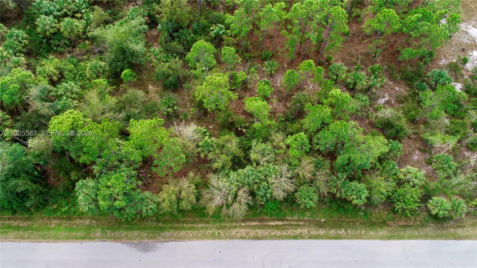 Residential vacant lot located in South Punta Gorda Heights! South Punta Gorda Heights is a developing neighborhood that can be accessed off of US 41 and Burnt Store Rd. Approximately 1.2MI to US 41 and 1MI to Burnt Store Rd. Property is heavily vegetated with mature deciduous trees and bushes. Power is approximately 300FT from property. Private well required as well as small waste water. No HOA or CDD fees. Recent survey available. This community has something for everyone. Engage in the natural beauty surrounding you – from fishing to bird watching, rabbits, and turtles, there's no shortage of outdoor wonders. A wide range of culinary delights, activity inside and outside. For those craving a change of scenery, venture to Charlotte Harbor, or explore Punta Gorda's vibrant restaurant scene, art festivals, and shows. If you're feeling more adventurous, set sail to Boca Grande, Pine Island, Cape Coral, or the pristine islands of Sanibel and Captiva. Discover the perfect blend of luxury, recreation, and natural beauty, and affordability, build your dream home ~ find yourself in SW FLA USA!