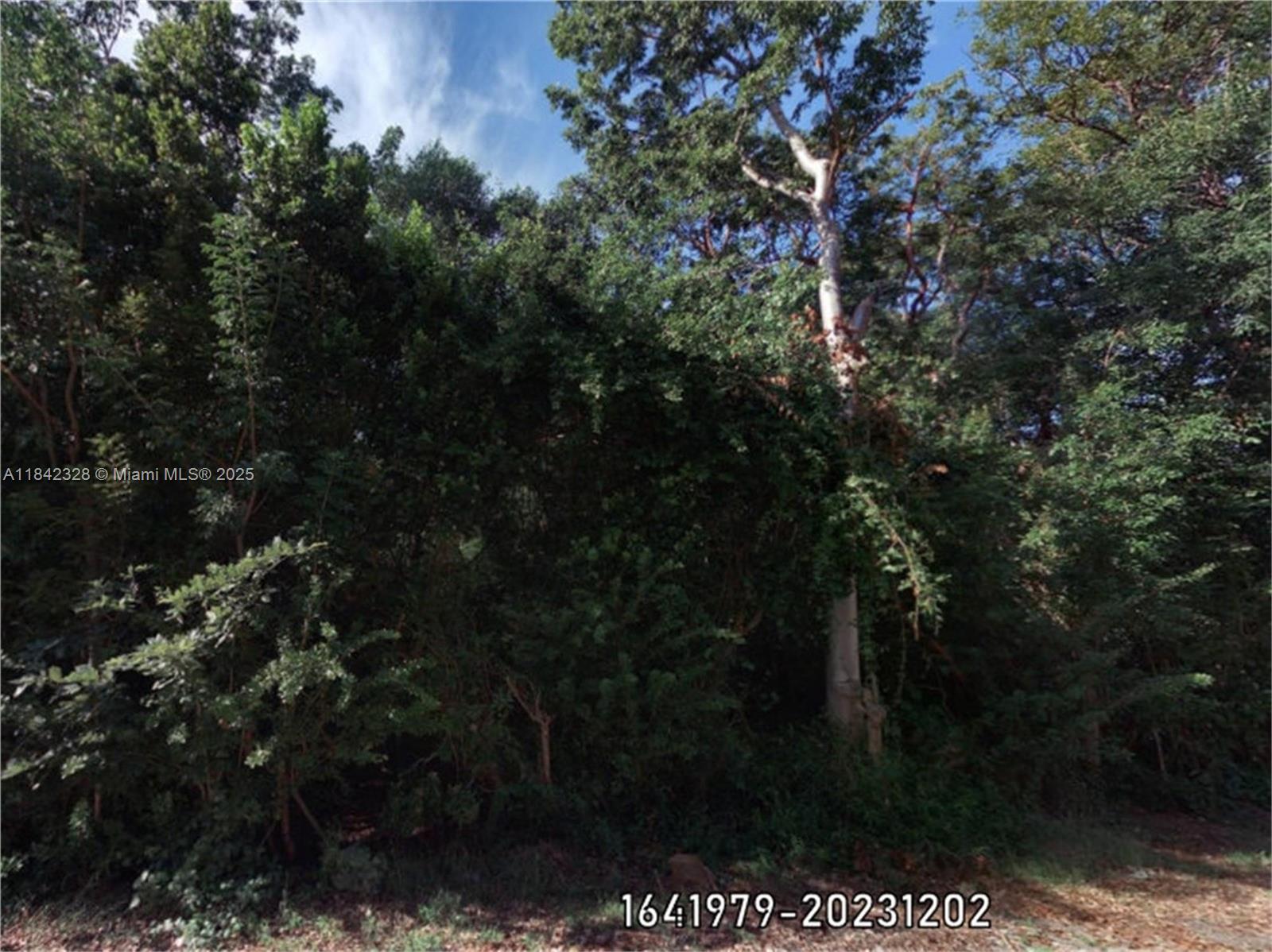 Buttonwood Shores - Land