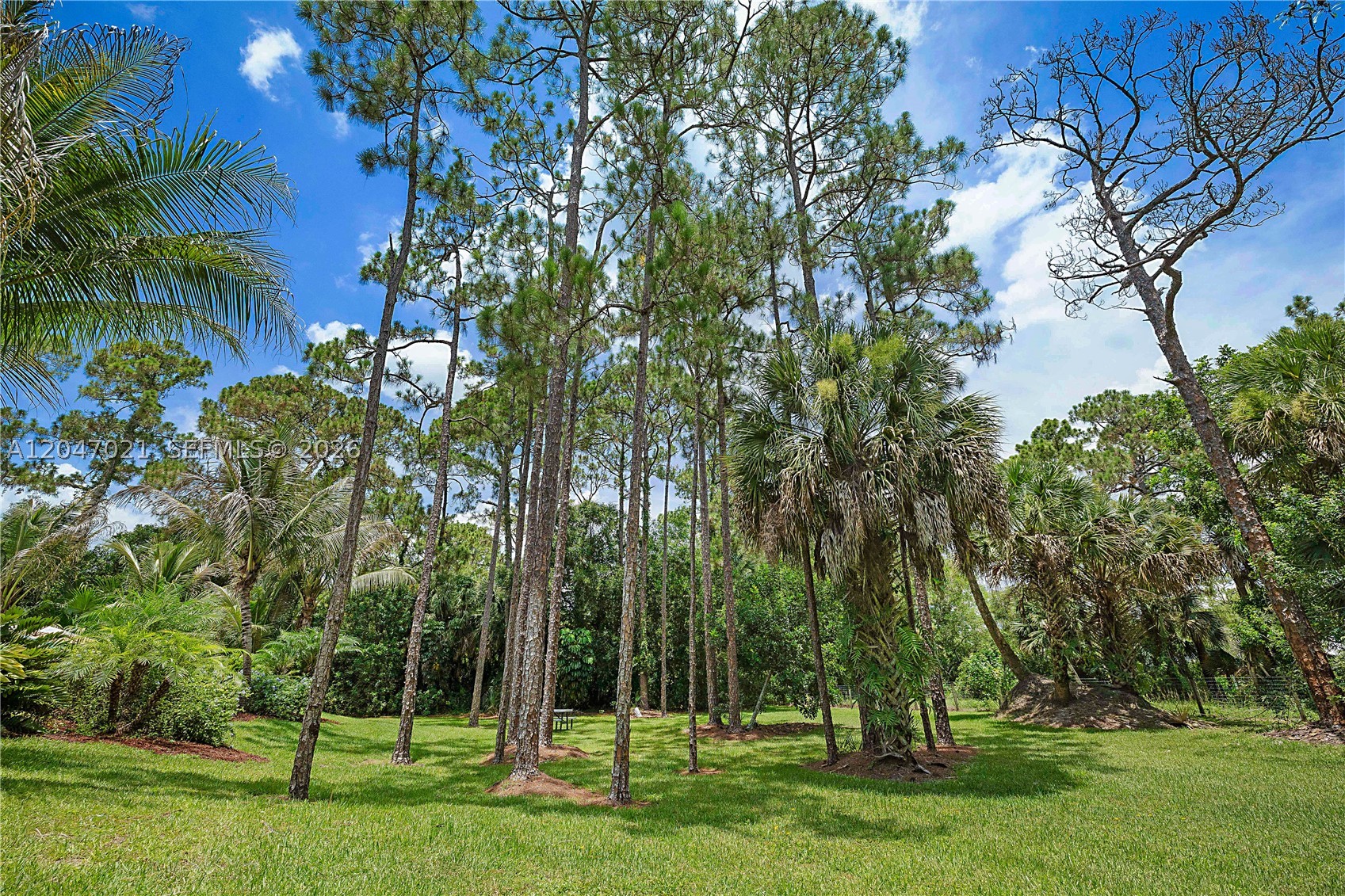 JUPITER FARMS - Residential