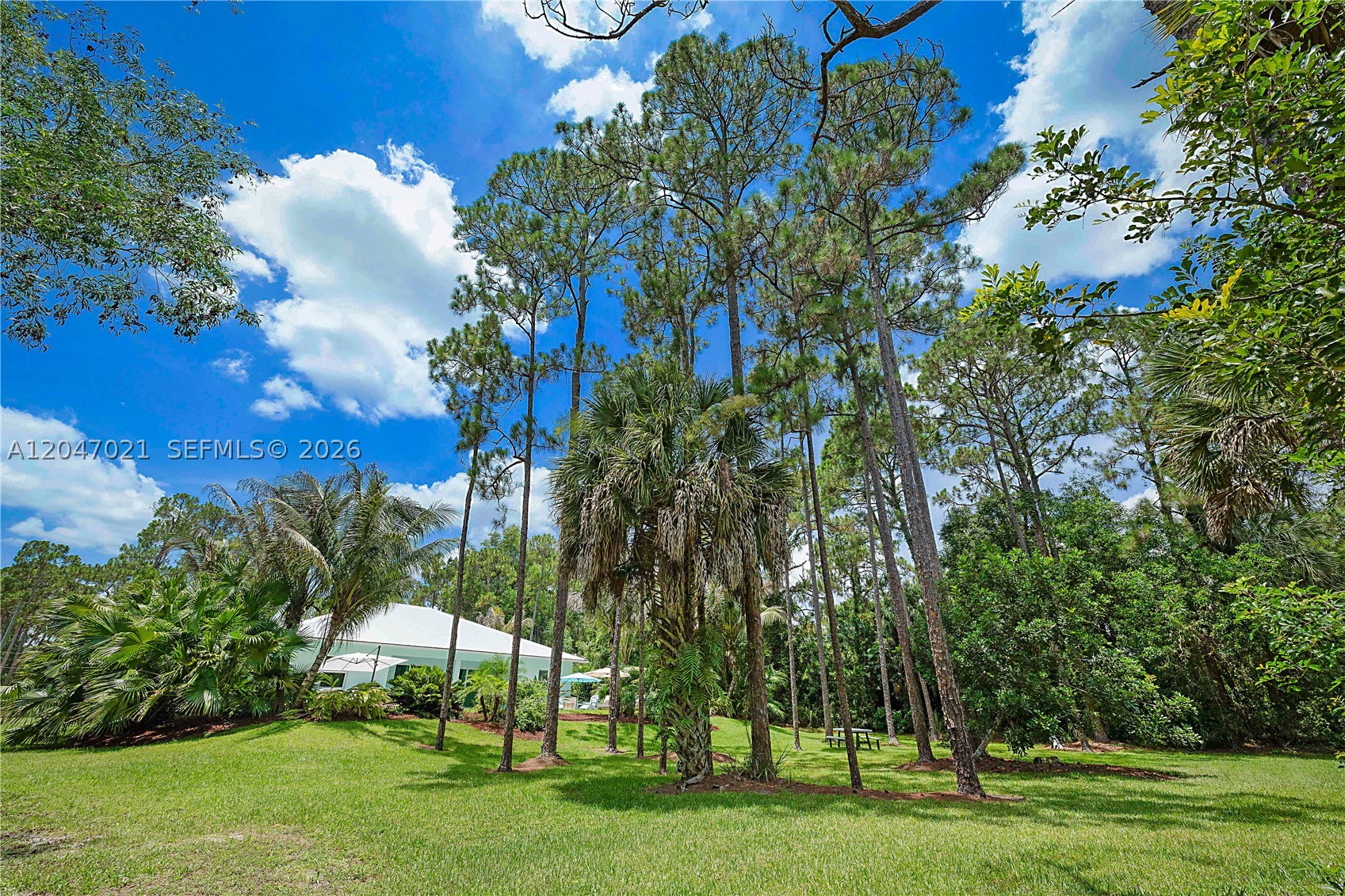 JUPITER FARMS - Residential