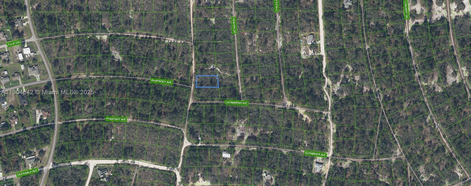 OWNER FINANCING!!! 1,000 DOWN 243.93 PER MONTH FOR 36 MONTHS AT 7% INTEREST. Hard packed gravel Road. High and Dry. Ready to build. Power on street Located in Lake Placid, in Sun 'n Lake area you will find this great lot to build your home. The new amenities to this park are amazing with a private beach for you to watch the sunrise and the sunset every day!, a boat ramp, a community clubhouse, a great fishing spot by the way, a playground and more!