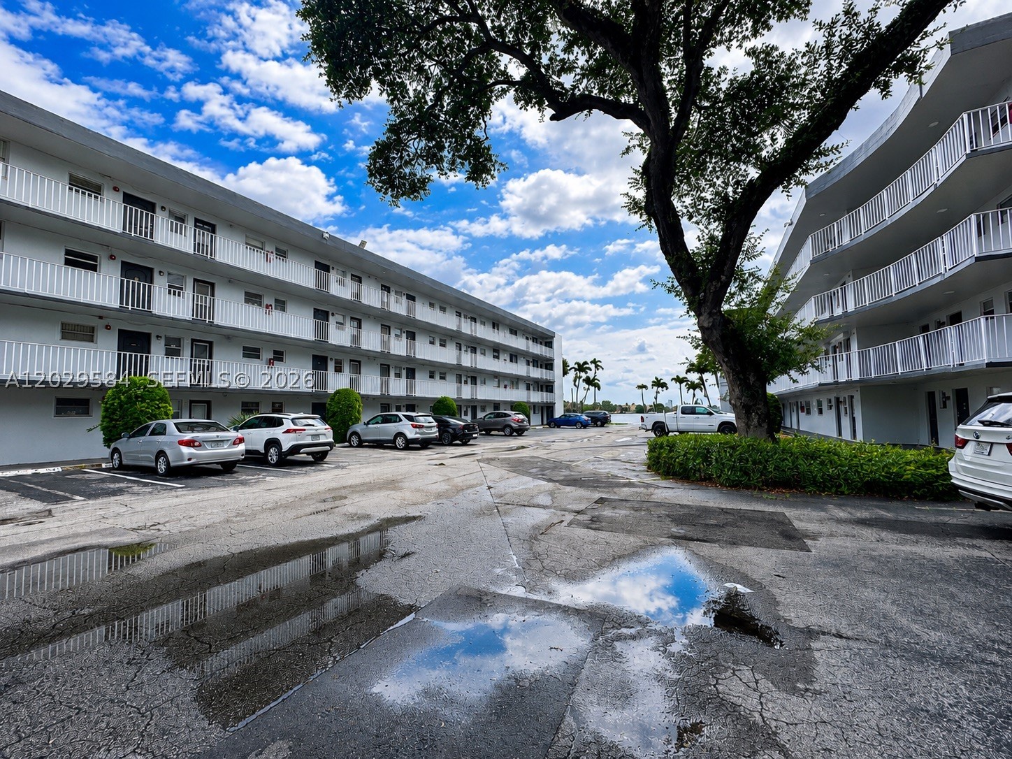 Excellent opportunity to own an affordable condo in a prime location just minutes from Aventura. This bright and comfortable first-floor studio features a full kitchen, spacious living area, and a versatile Murphy bed that maximizes functionality and living space. Enjoy a large screened patio with relaxing pool views that can be enclosed for added comfort and privacy.
The condo association includes water and cable, adding exceptional value and convenience. With its flexible layout, this unit can easily be converted into a one-bedroom residence, offering additional privacy and future potential. Perfect as a primary residence, seasonal getaway, or investment opportunity.