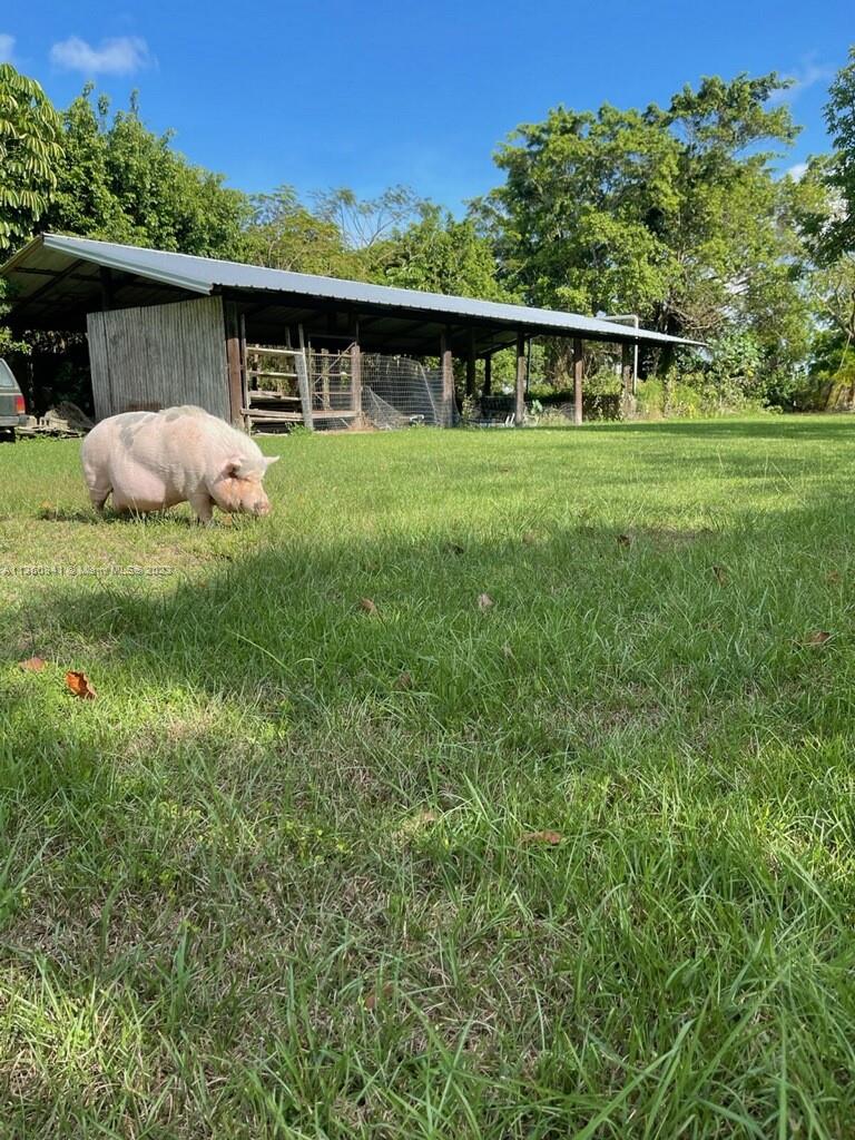 Redland Vintage home 1 ac - Residential