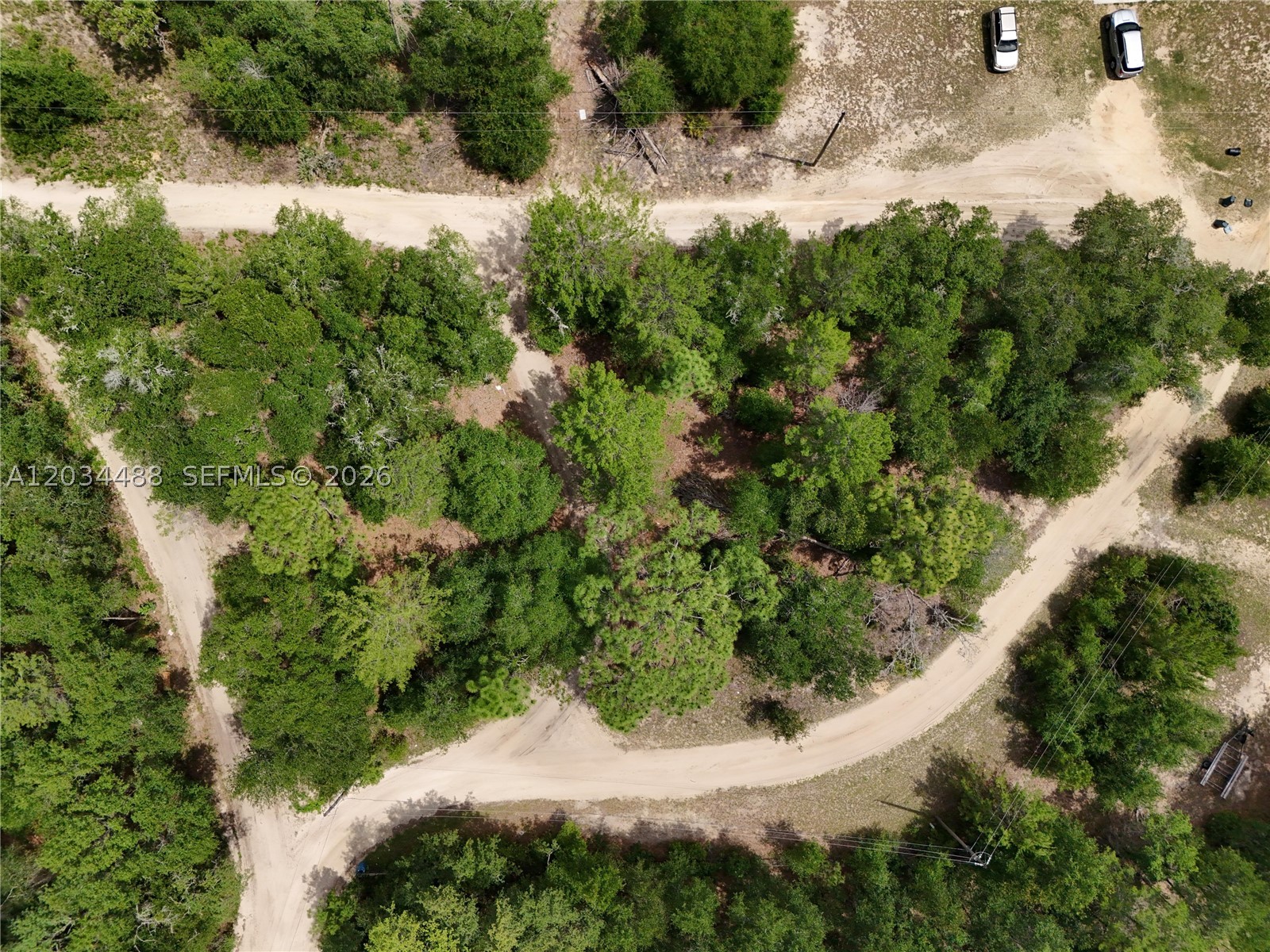 MIRROR LAKE FOREST - Land