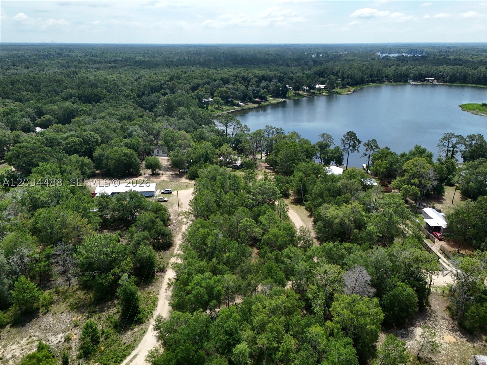 MIRROR LAKE FOREST - Land