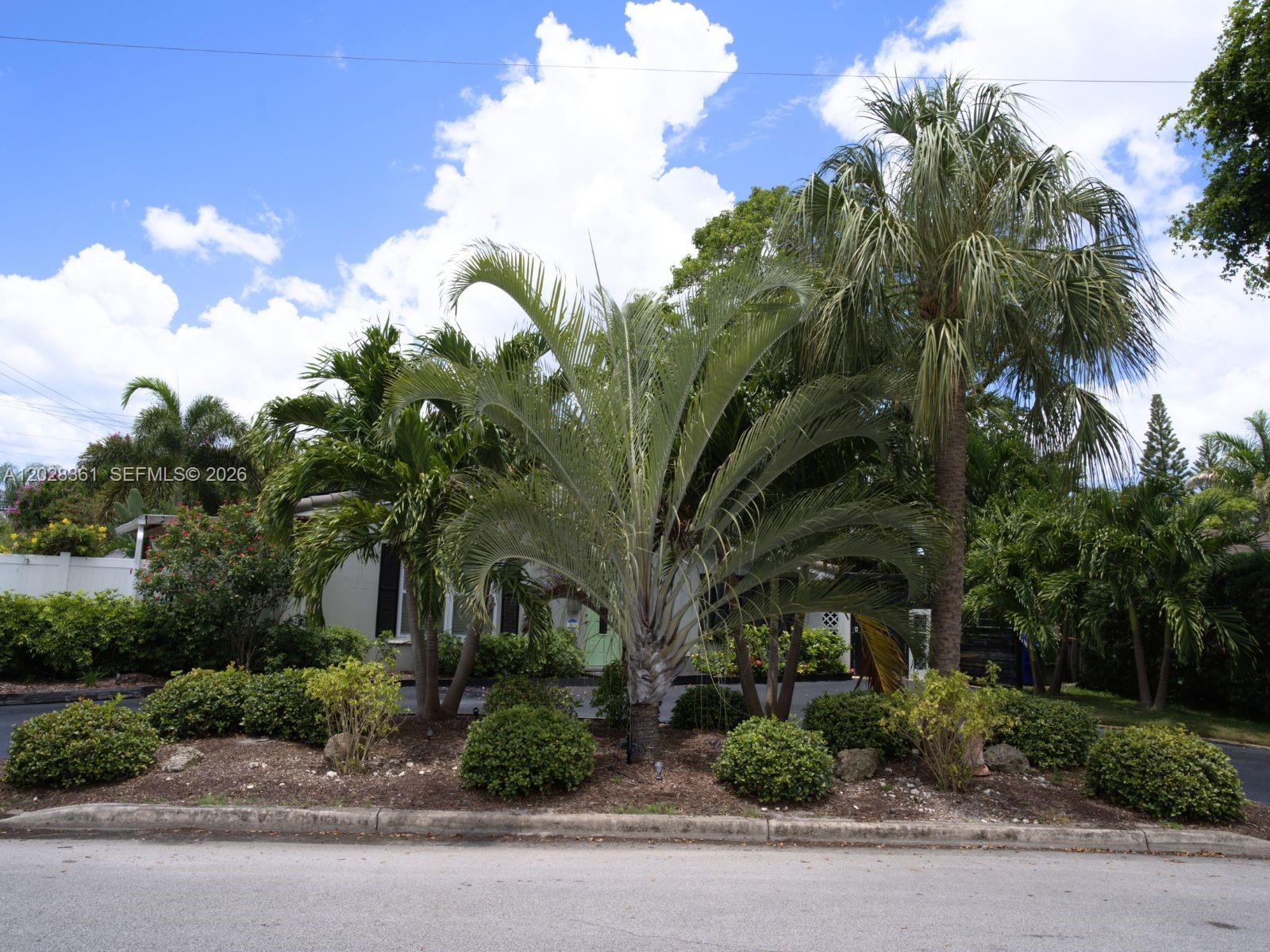 PROGRESSO - Residential Lease