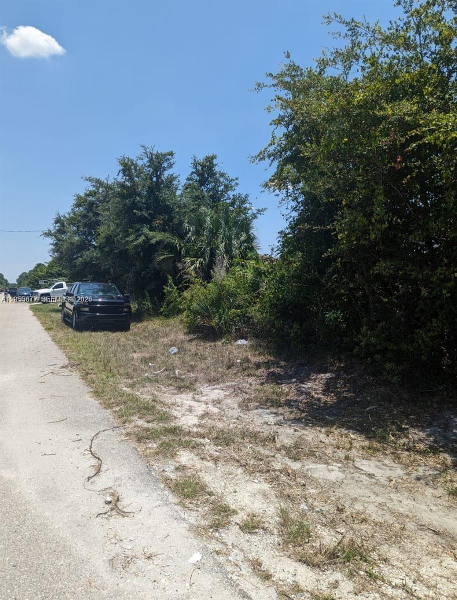 Lehigh Acres - Land