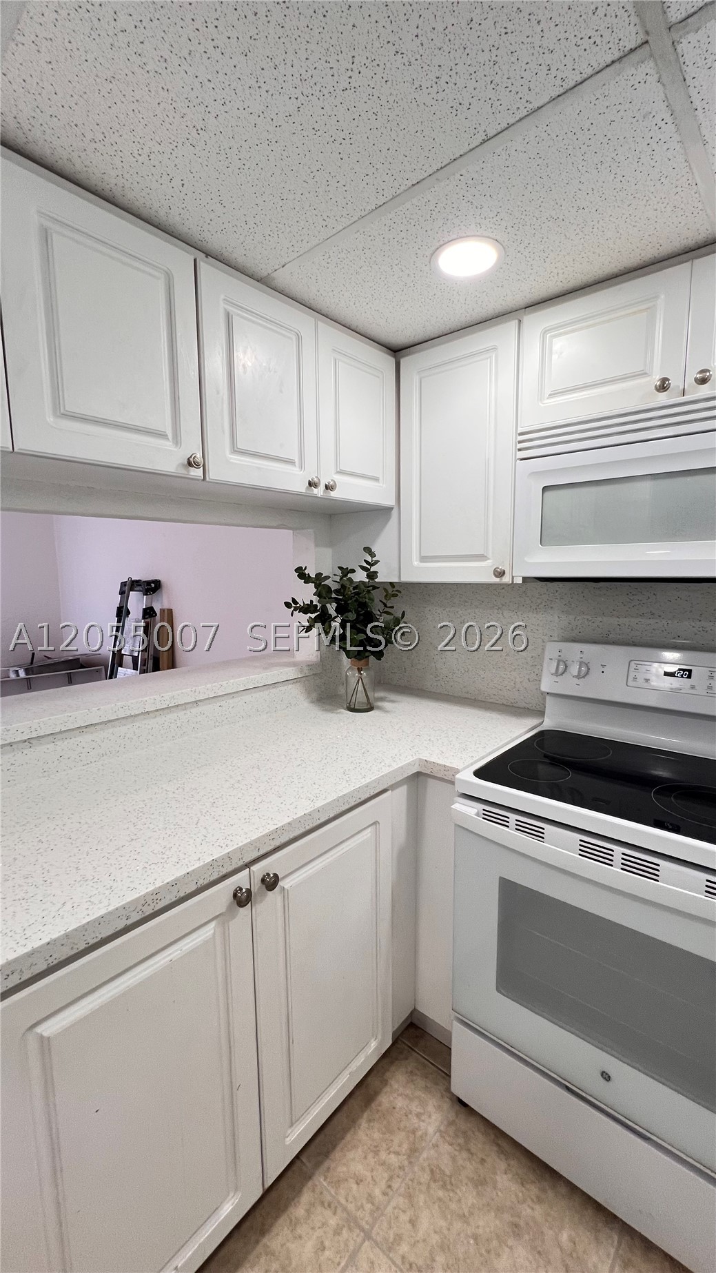 MANGO HILL CONDO XIX PH I - Residential Lease