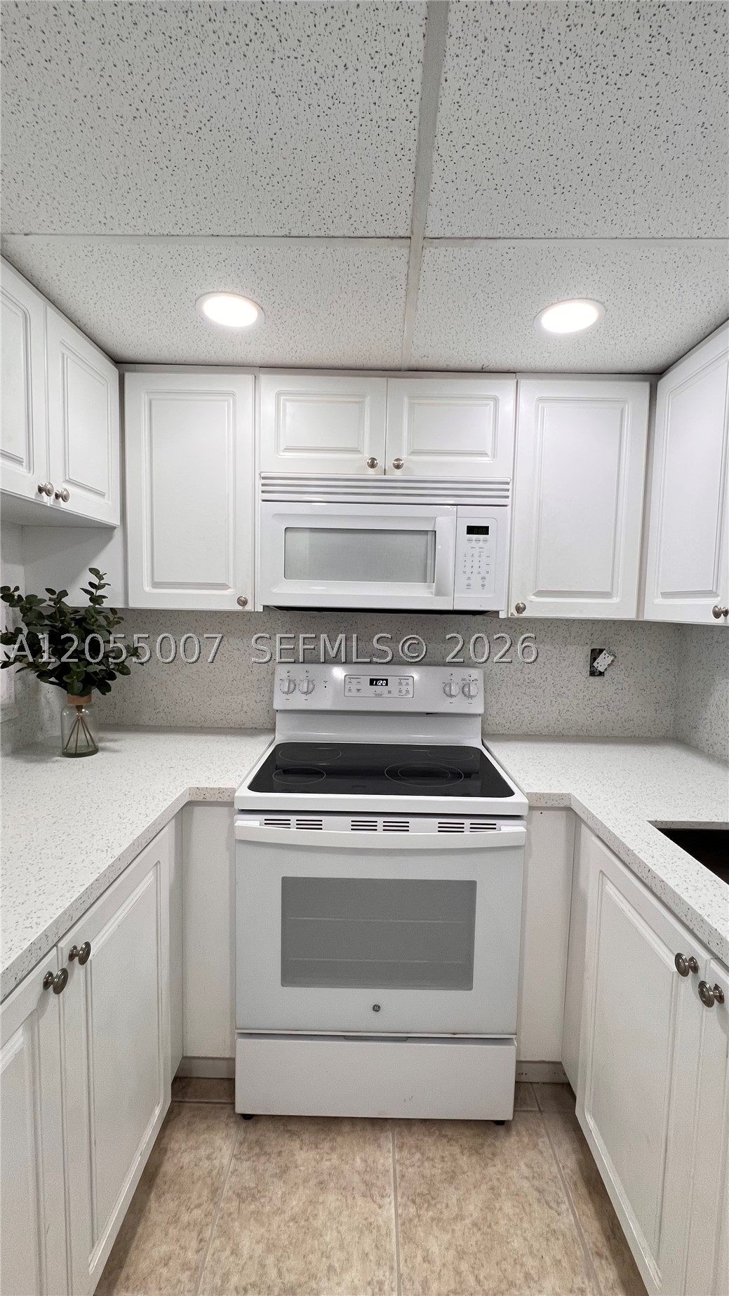 MANGO HILL CONDO XIX PH I - Residential Lease