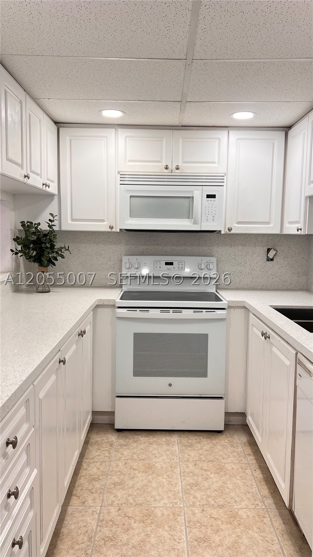 MANGO HILL CONDO XIX PH I - Residential Lease