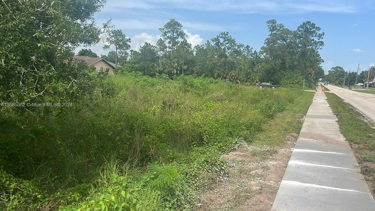 LEHIGH ACRES UNIT 9 BLK 26 - Land