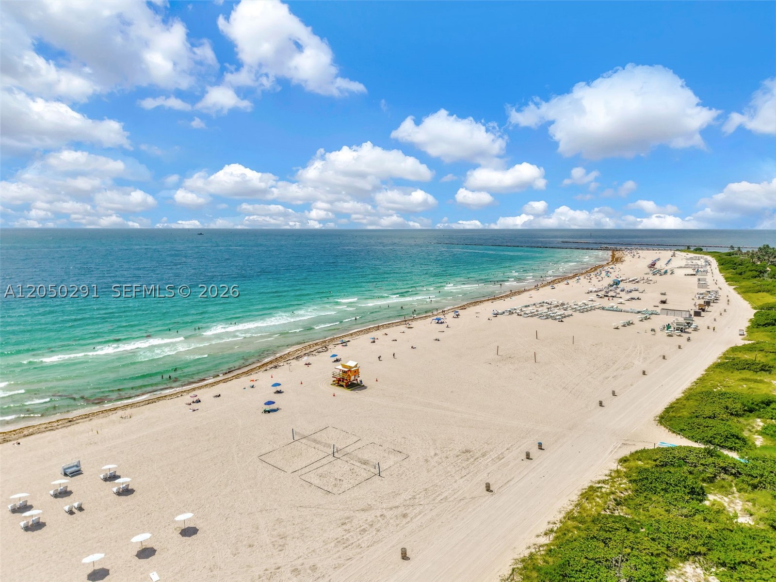 OCEAN POINT CONDO - Residential Lease