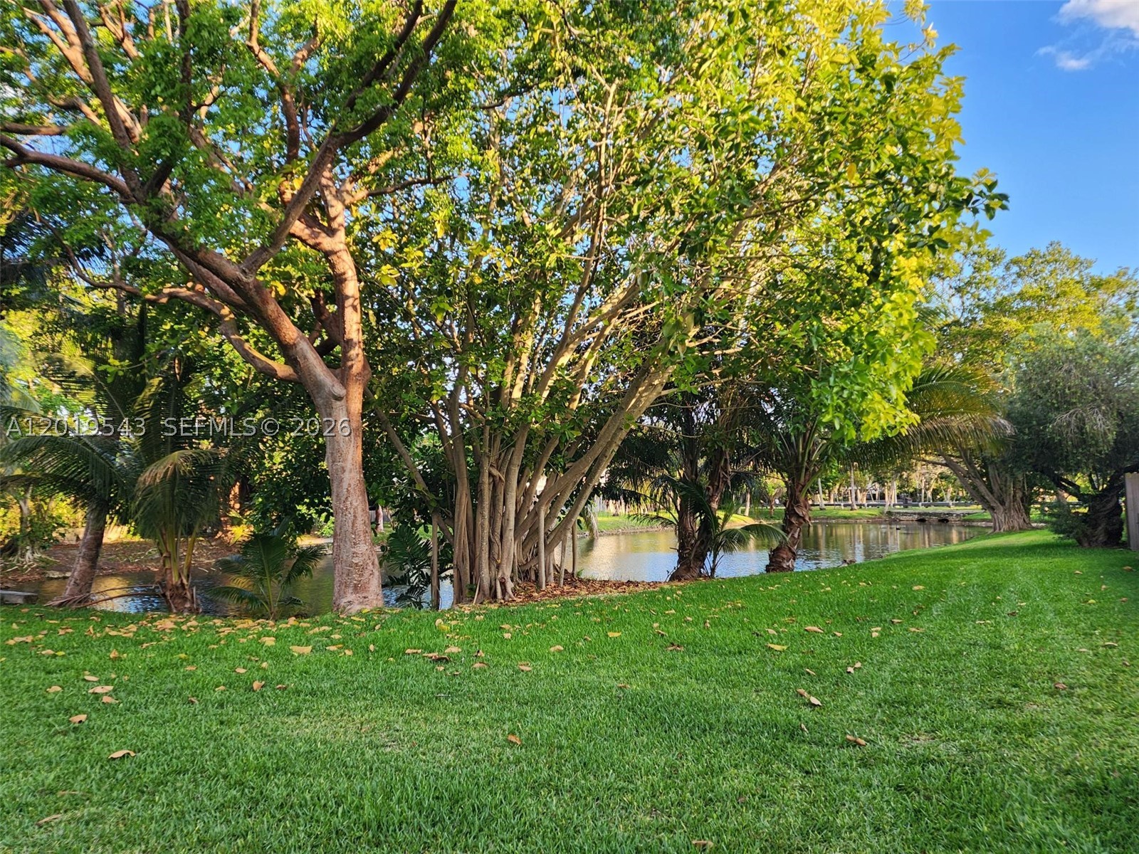SNAPPER CREEK TOWNHOUSES - Residential