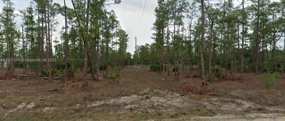 Build Your Dream Home in Lehigh Acres! This spacious vacant quarter acre lot is ready for you to build your custom single-family home in the growing community of Lehigh Acres! Enjoy peaceful surroundings, affordable living, and easy access to Fort Myers while being close to shopping, dining, parks, and top-rated schools. With plenty of new development in the area, this is the perfect opportunity to invest in Florida living! SELLER FINANCING AVAILABLE!!

The buyer’s agent or broker is required to be present at all showings, meetings, inspections, and appointments. Unaccompanied buyers will not be permitted access to the property.