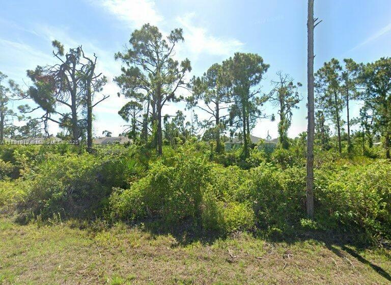 PORT CHARLOTTE - Land