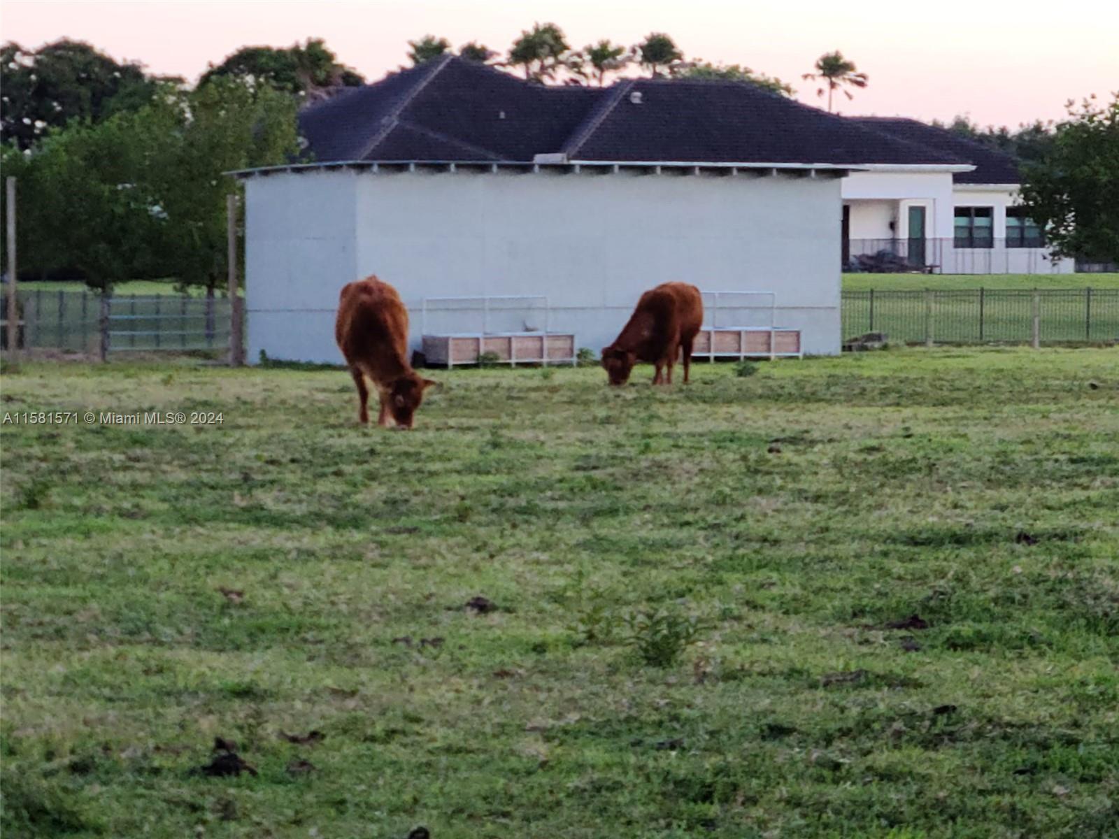 FL. Fruit Lands Co - Land