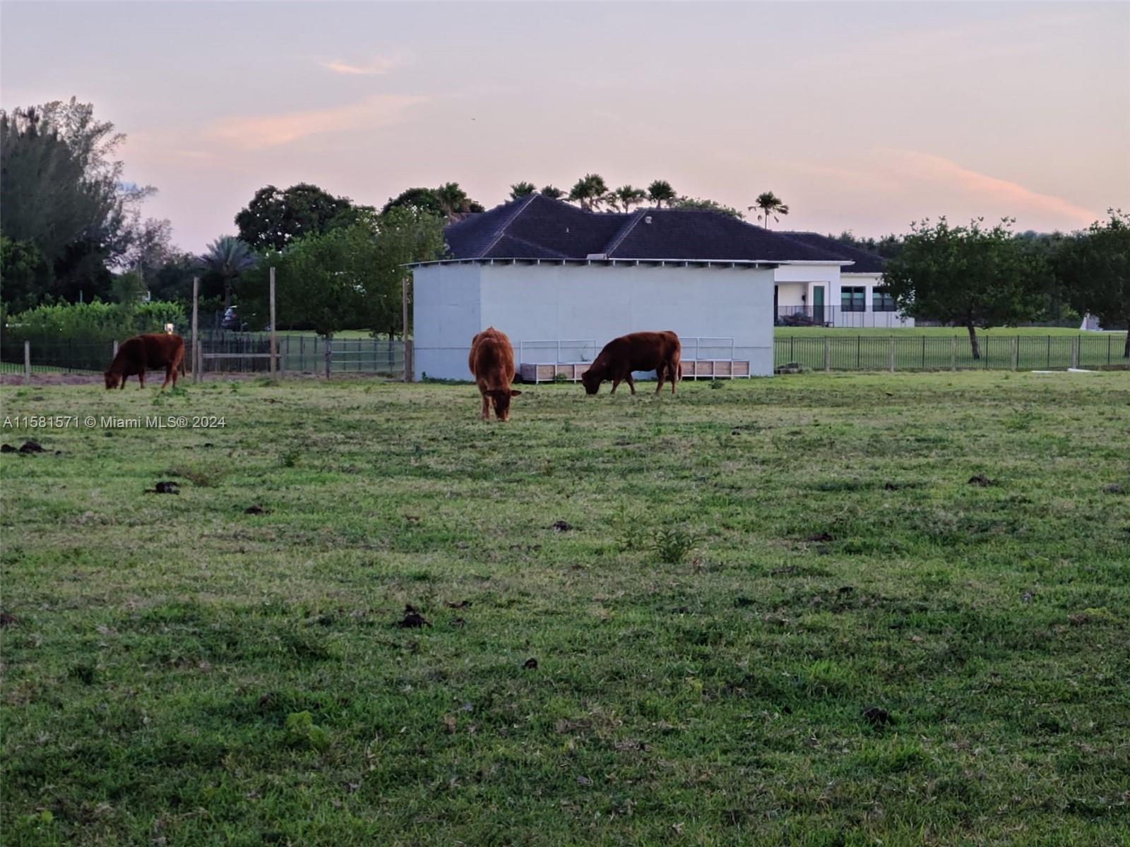 FL. Fruit Lands Co - Land