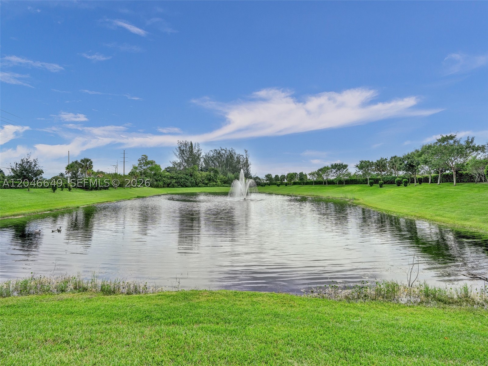 THE FALLS AT PARKLAND - Residential