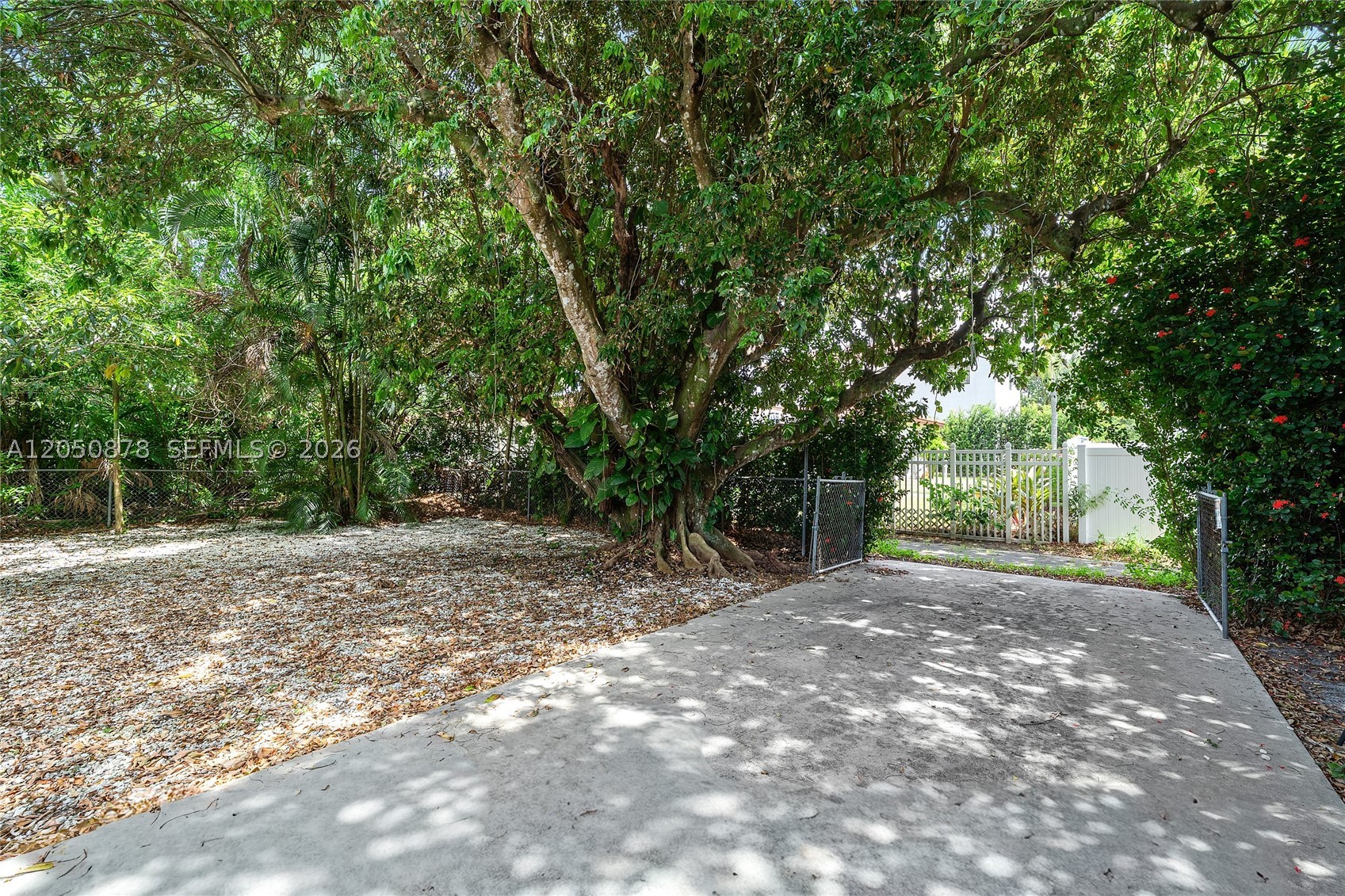 POINCIANA PK AMEN PL BLKS - Residential